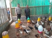 Kunjungi Peternak Ayam, Bhabinkamtibmas Desa Jagaraga Sosialisasikan Ketahanan Pangan