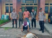 Gorok Kambing Masuk Halaman Rumah, Pria Ini Masuk Sel Polsek Asakota
