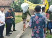 Tim Jemput Gabah Dibentuk, Bulog Kediri Kejar Target Serapan di Puncak Panen