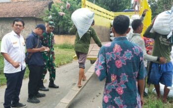 Tim Jemput Gabah Dibentuk, Bulog Kediri Kejar Target Serapan di Puncak Panen