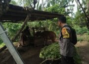 Ketahanan Pangan Dimulai dari Rumah: Bhabinkamtibmas Beri Edukasi Warga