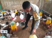 Bhabinkamtibmas Aktif Sosialisasikan Ketahanan Pangan di Desa Jagaraga