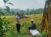 Kedekatan Polisi dan Petani, Panen Jadi Nyaman