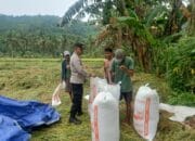 Sambang Desa Ala Bhabinkamtibmas Lombok Barat: Sinergi Jaga Keamanan & Dukung Petani