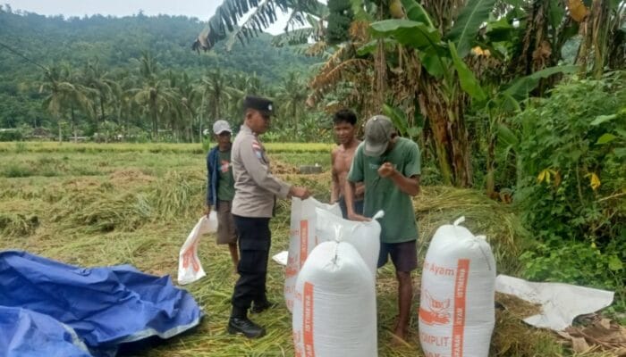 Sambang Desa Ala Bhabinkamtibmas Lombok Barat: Sinergi Jaga Keamanan & Dukung Petani