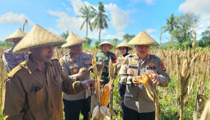 Sinergi Polri dan Petani dalam Mendukung Ketahanan Pangan Nasional