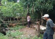 Sinergi Polri dan Warga Lombok Barat Kuatkan Ketahanan Pangan