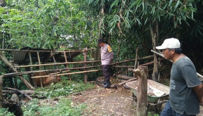 Sinergi Polri dan Warga Lombok Barat Kuatkan Ketahanan Pangan