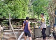 Inspiratif! Bhabinkamtibmas Gerakkan Kemandirian Pangan Desa