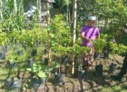 Sinergi Polisi dan Warga Lombok Barat Wujudkan Program Ketahanan Pangan