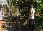 DDS Bhabinkamtibmas Sekotong: Sinergi Polri dan Masyarakat untuk Ketahanan Pangan