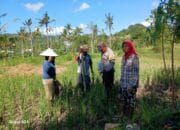 Bhabinkamtibmas Desa Giri Tembesi Berikan Motivasi dan Saran Pertanian kepada Petani