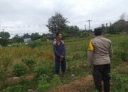 Maksimalkan Lahan Produktif: Polri Ajak Warga Desa Jagaraga Dukung Ketahanan Pangan