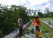 Bhabinkamtibmas Desa Jagaraga Ajarkan Warga Pemanfaatan Lahan untuk Ketahanan Pangan