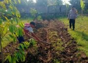Polsek Labuapi Dukung Program Ketahanan Pangan Melalui Bhabinkamtibmas