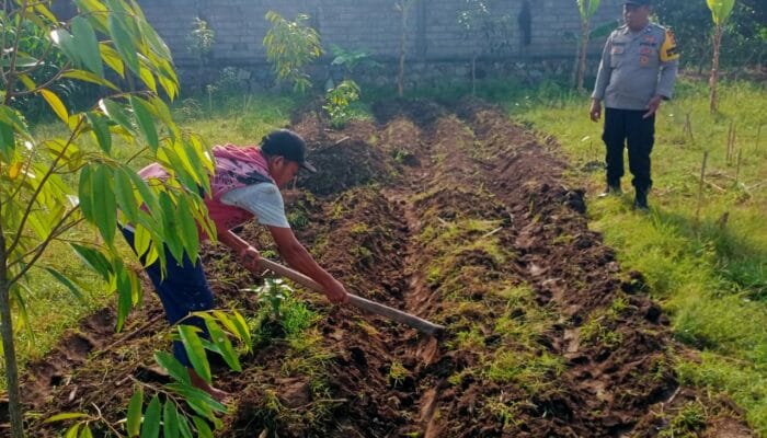 Polsek Labuapi Dukung Program Ketahanan Pangan Melalui Bhabinkamtibmas