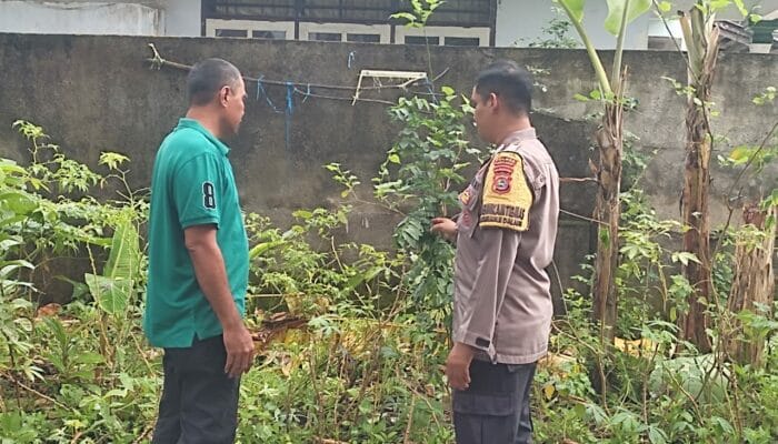 Dukung Ketahanan Pangan, Warga Desa Kuranji Dalang Tanam Sayuran di Pekarangan