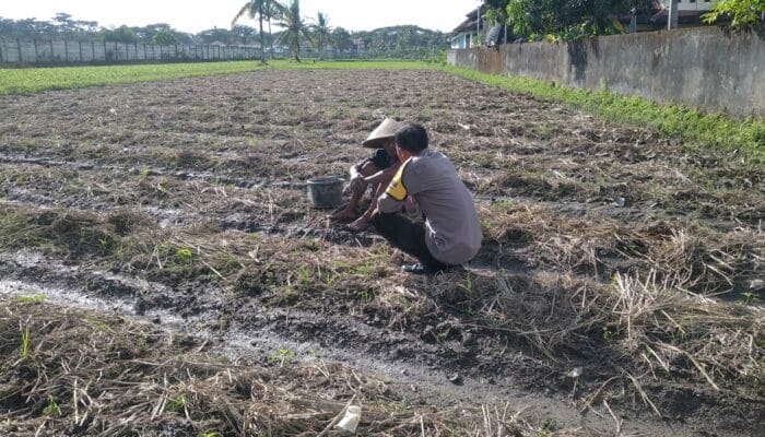 Bhabinkamtibmas Desa Kuripan Beri Motivasi Pemanfaatan Pekarangan untuk Ketahanan Pangan