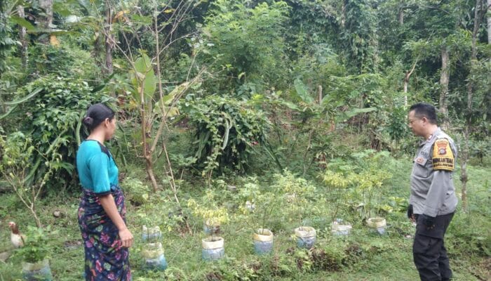 Silaturahmi dan Edukasi Pangan: Polsek Batulayar Bangun Kemandirian Warga