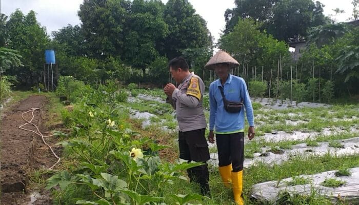 Optimalisasi Lahan untuk Ketahanan Pangan: Langkah Nyata Polri di Lombok Barat