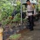 Ketahanan Pangan Nasional, Polsek Labuapi Turun Langsung ke Masyarakat