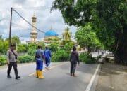 Sinergi Polsek dan Dinas LH Lombok Barat Dalam Penertiban Pohon Berbahaya