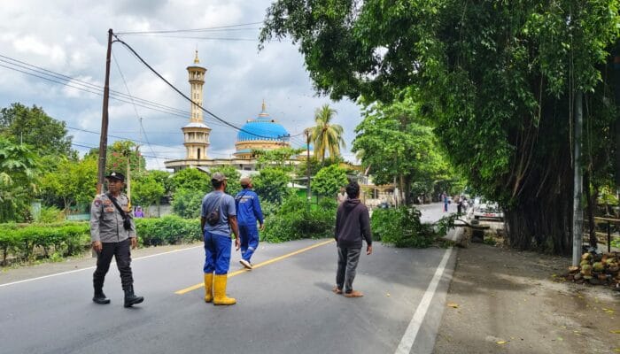 Sinergi Polsek dan Dinas LH Lombok Barat Dalam Penertiban Pohon Berbahaya