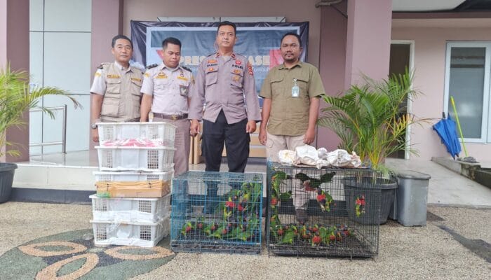Balai Karantina NTB dan Polisi Gagalkan Perdagangan Burung Ilegal di Pelabuhan Lembar