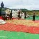 Bhabinkamtibmas Desa Hu’u Pantau Penggilingan Jagung Warga, Ingatkan Pentingnya Kualitas Panen