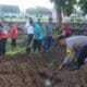 Bhabinkamtibmas Desa Manemeng Bersama Pemerintah Kecamatan Gotong Royong Membuat Kebun PKK/P2L