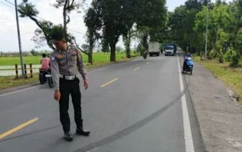 Kecelakaan Pickup di Lombok Barat, Merenggut 1 Korban Jiwa dan Puluhan Luka-luka