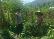 Polres Lombok Barat Dukung Ketahanan Pangan Lewat Pendampingan Petani