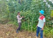 Polres Lombok Barat Dorong Pemanfaatan Pekarangan untuk Ketahanan Pangan