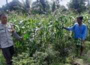 Polri Lombok Barat Gencarkan Ketahanan Pangan di Montong Are