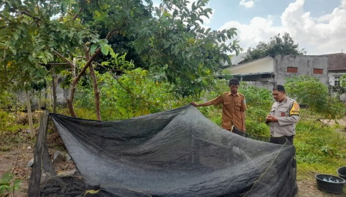 Bhabinkamtibmas Gelogor Dorong Warga Tanam Pangan di Halaman Rumah