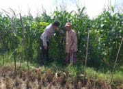 Sinergi Polri dan Warga Tingkatkan Kemandirian Pangan