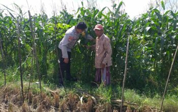 Sinergi Polri dan Warga Tingkatkan Kemandirian Pangan