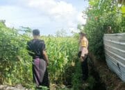 Sinergi Polri dan Petani di Desa Ombe Baru, Lombok Barat