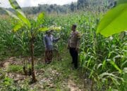 Bhabinkamtibmas Sekotong Timur Dampingi Petani Dukung Ketahanan Pangan