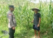 Polres Lombok Barat Dukung Ketahanan Pangan Lewat Pendampingan Warga