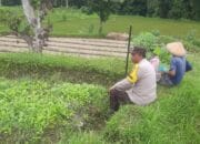 Polri Dorong Ketahanan Pangan di Desa Montong Are