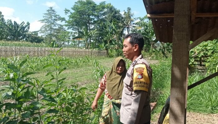 Bhabinkamtibmas Dasan Geres Dukung Ketahanan Pangan Lewat Program Pekarangan Bergizi