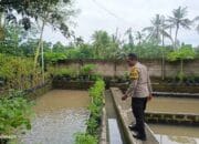 Ketahanan Pangan Dimulai dari Dusun Pesongoran, Lombok Barat