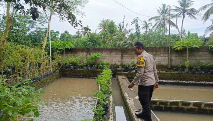 Ketahanan Pangan Dimulai dari Dusun Pesongoran, Lombok Barat