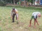 Bhabinkamtibmas di Gerung Dorong Kemandirian Pangan di Desa Taman Ayu