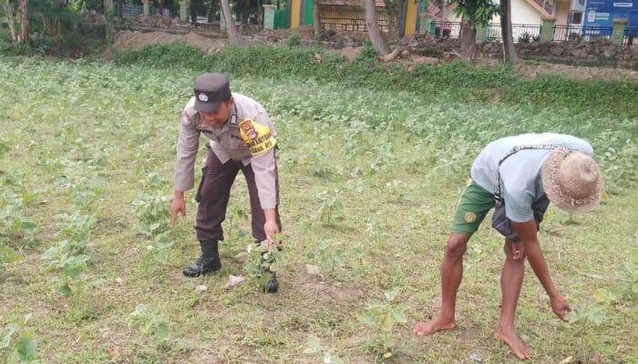 Bhabinkamtibmas di Gerung Dorong Kemandirian Pangan di Desa Taman Ayu