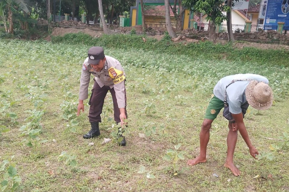 Ketahanan Pangan Lokal, Inisiatif Bhabinkamtibmas di Lombok Barat
