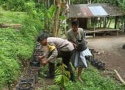 Inovasi Ketahanan Pangan dari Lombok Barat: Optimalisasi Lahan Pekarangan Warga