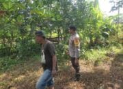 Bhabinkamtibmas Kuranji Dalang Dorong Kemandirian Pangan Warga Lombok Barat