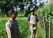 Polres Lombok Barat Dampingi Petani Wujudkan Ketahanan Pangan